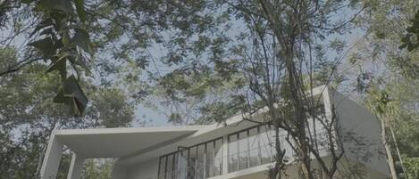 A modern building with a flat roof and large windows, surrounded by dense greenery.