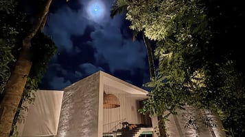 Un edificio moderno con una escalera, rodeado de follaje denso y un cielo nocturno con una luna visible.