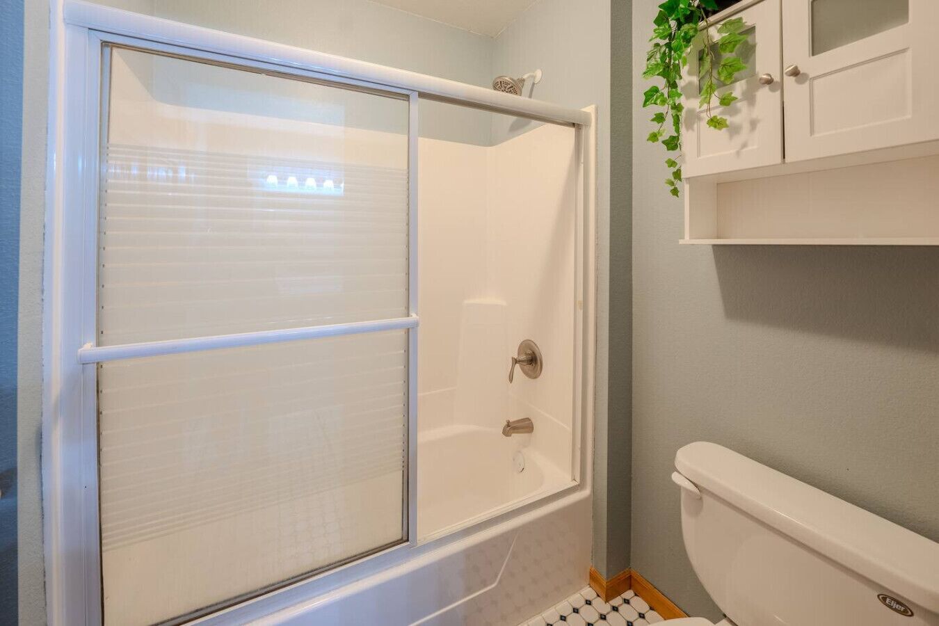 A bathroom with a shower enclosure, a toilet, and a small shelf with a plant.