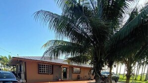 A house with a paved driveway leading to a garage, surrounded by palm trees and a clear sky. - 3-bedroom farmhouse in peaceful Miami with cool vibes (Miami)