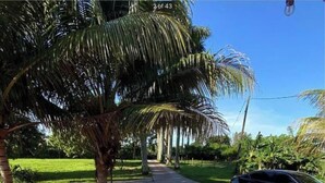 A paved pathway with a hexagonal pattern, flanked by palm trees and greenery. - 3-bedroom farmhouse in peaceful Miami with cool vibes (Miami)