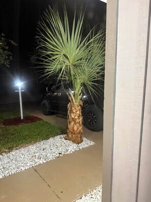 A palm tree in a planter with gravel, a car parked in the background, and a street lamp. - Spacious 4-bedroom house with AC in Palm Coast with only 15 minutes to the Beach (Palm Coast)