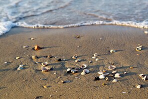 A sandy beach with scattered seashells and gentle waves. - Holiday flat with air conditioning and garden (Bibione)