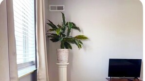 A hotel room with a bed, a television on a wooden stand, a potted plant on a pedestal, a chair, and a window with curtains.