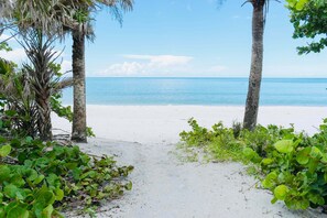 Nära stranden