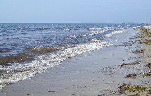 Une plage où les vagues viennent doucement lécher le rivage, des algues dispersées sur le sable et un ciel dégagé.