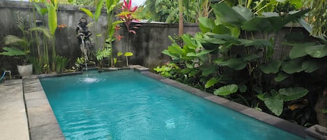 豪華別墅 | 泳池