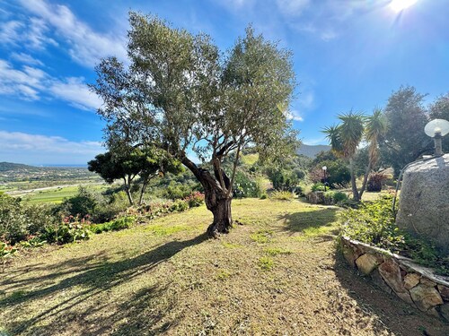 " Country Guest House "