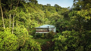 A house surrounded by dense forest.