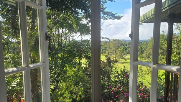 An open window with a view of a lush garden and a clear sky.