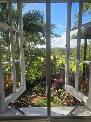An open window with a view of a lush garden and a clear sky. - FNQ Blooms Tropical Flower Farm Lodge (Bartle Frere)