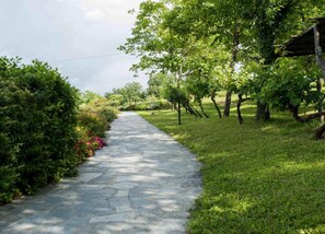 الإطلالة من المنشأة