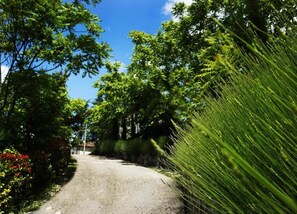 View from property - Farmhouse in Tuscany With Pool & Valley Views (Poppi)