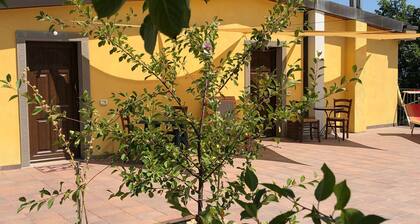 Farmhouse in Apecchio With Pool & Spa