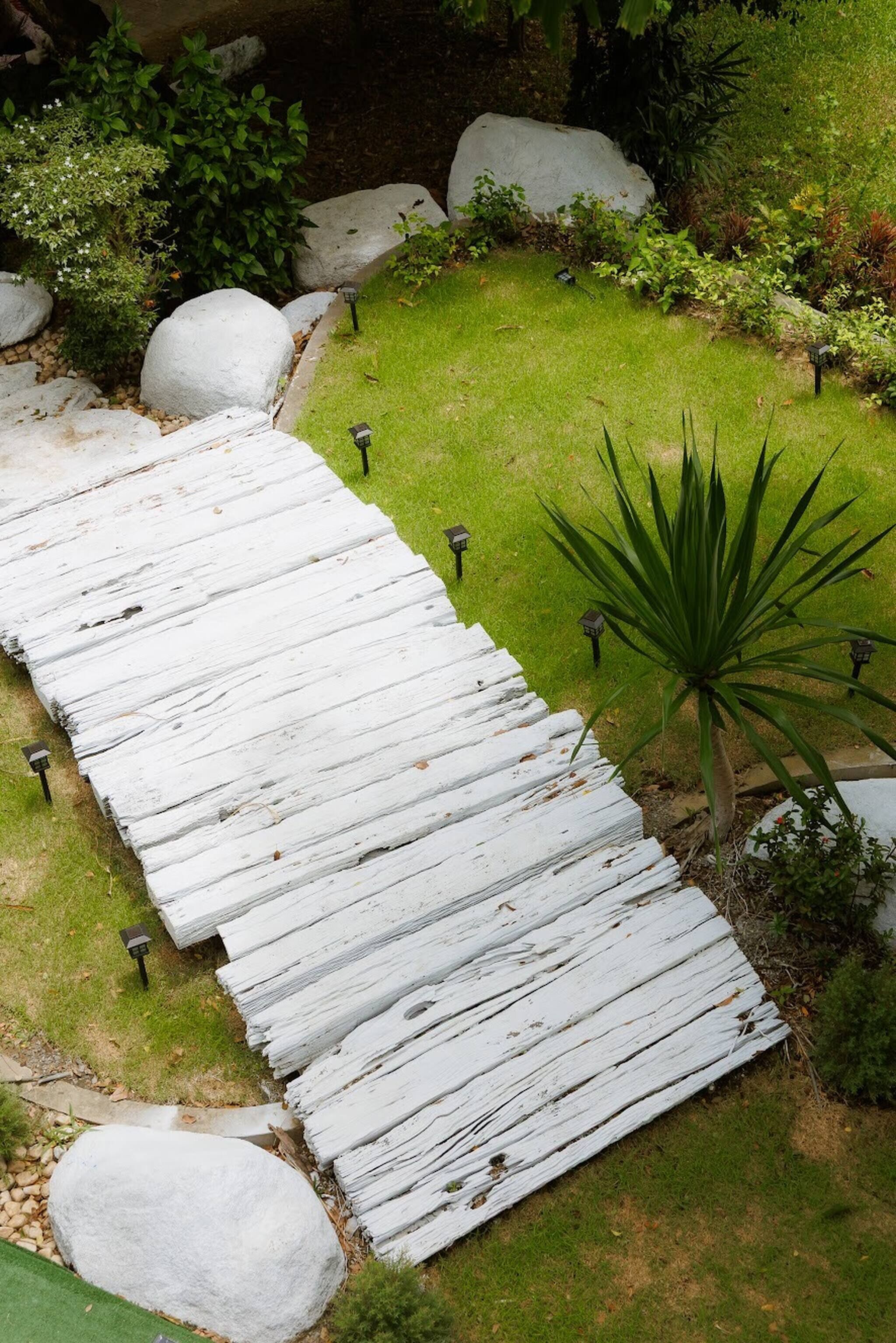 A white wooden pathway in a garden with rocks and plants.