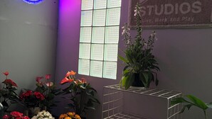 Una habitación con pared morada, una ventana con diseño de cuadrícula, un letrero de neón y varias plantas en macetas.