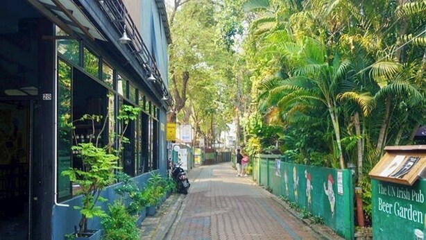 Una calle estrecha bordeada de abundante vegetación y un pub llamado "The UN Irish Pub Beer Garden".