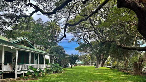 A white building with a green roof and a porch, surrounded by lush greenery and trees.