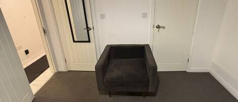 A room with a dark-colored sofa, two white doors, and a carpeted floor.