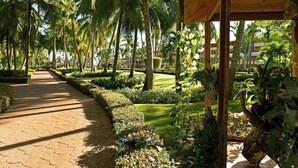 A pathway lined with palm trees and lush greenery, leading to a wooden structure with a roof. - Iberostar Waves Punta Cana (Punta Cana)