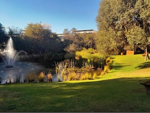 Property grounds - Dainfern Luxury Penthouse (Midrand)