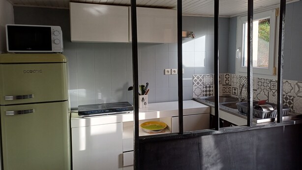 A kitchen with a vintage refrigerator, a microwave, and a modern induction cooktop. - A break in the countryside. If you want peace and quiet and authenticity, (Cirey)