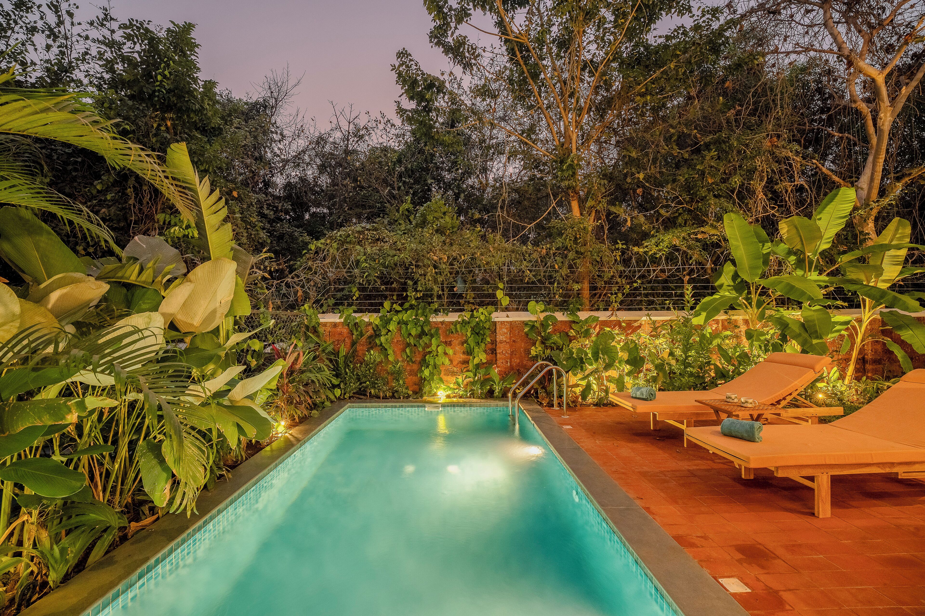Una piscina rodeada de abundante vegetación y sillones de madera.