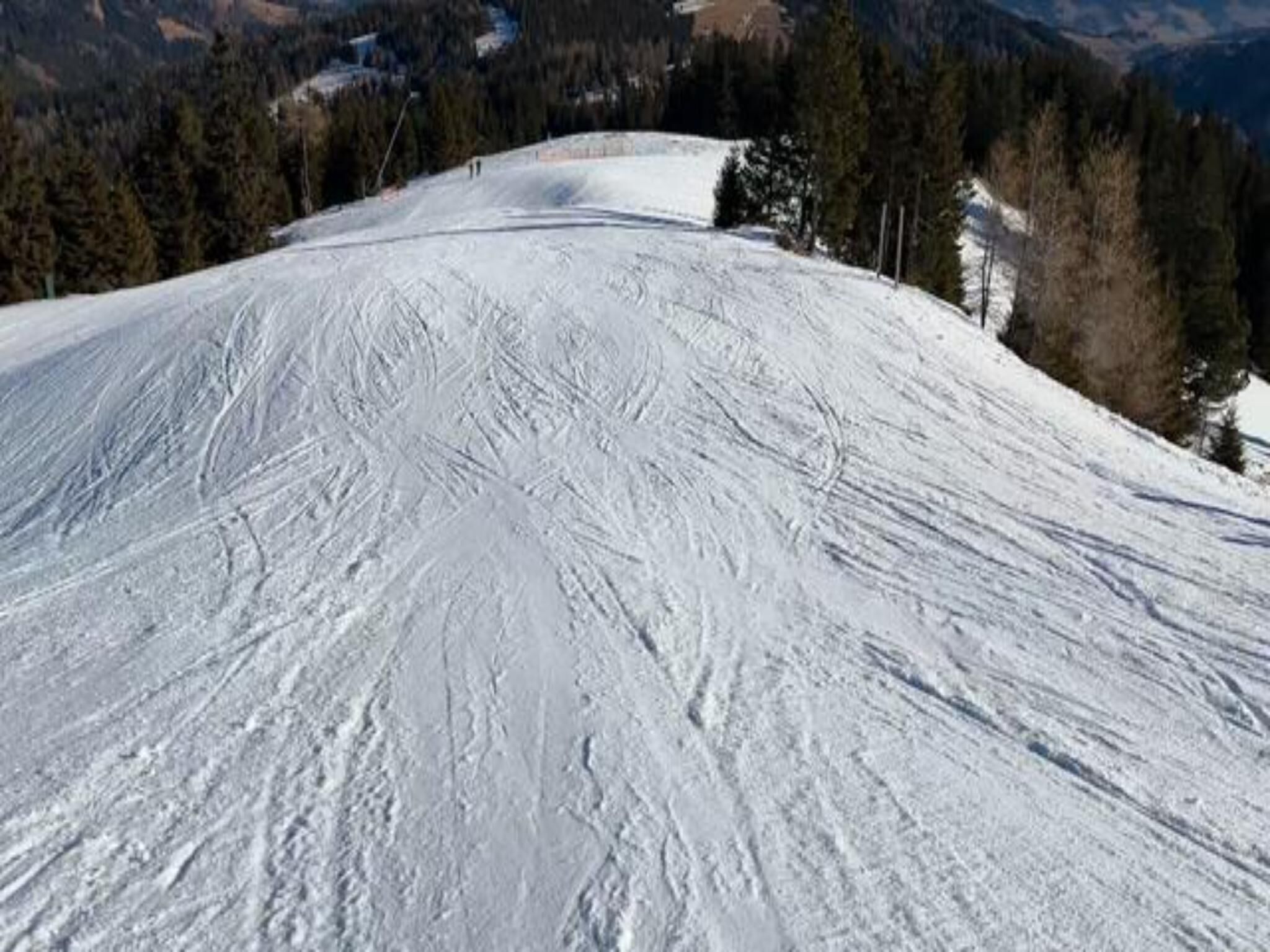A snowy ski slope with tracks and trees in the background.