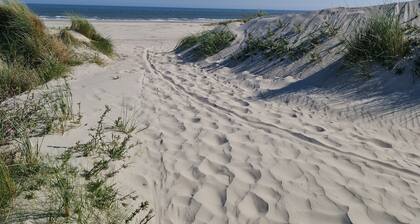 Gemütliches Chalet in einer Dünenlandschaft in Strandnähe