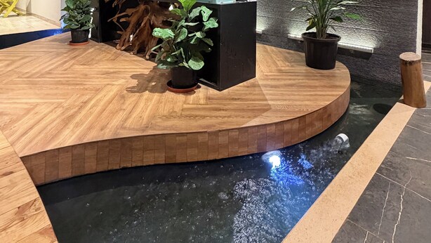 Un espace d’accueil doté d’un comptoir en bois, de plantes en pot, d’un mur orné de l’inscription « LA FIESTA » et d’un plafond décoratif.