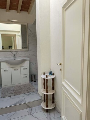Shower, hair dryer, bidet, towels