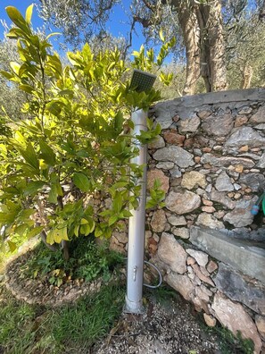 Property grounds - A few minutes from Pisa and Lucca, beautiful villa in the Tuscan countryside. (Toscana)