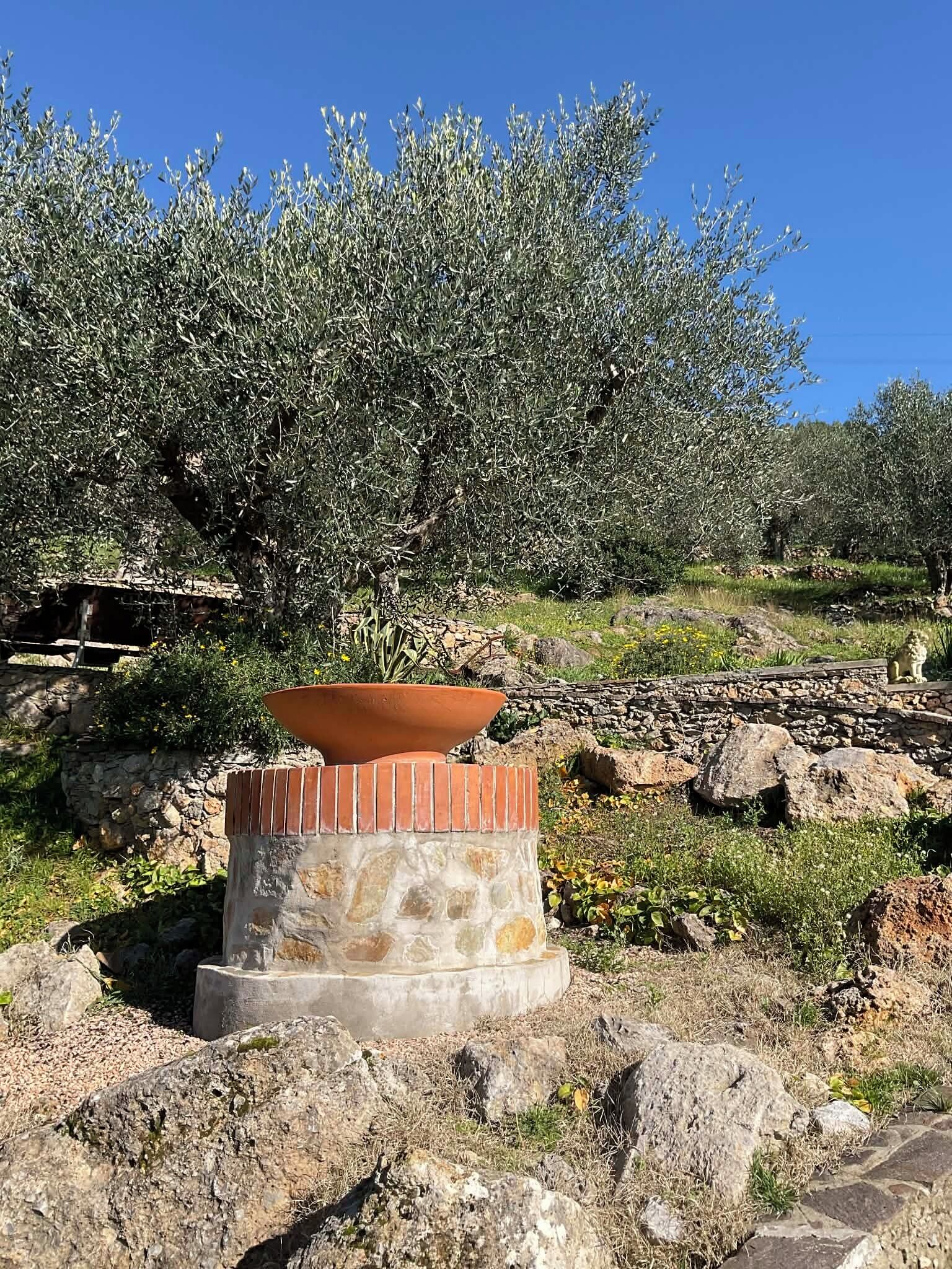 Una maceta de terracota sobre un pedestal de piedra, rodeada de rocas y olivos.