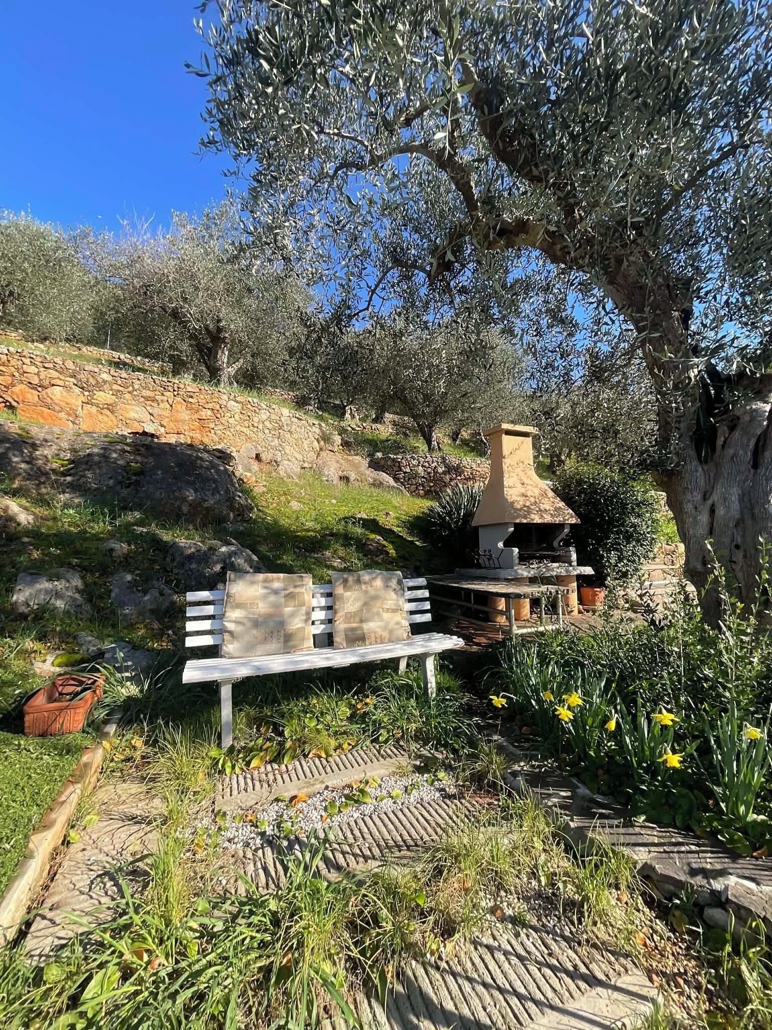 Un banco de piedra bajo un olivo, un espacio de descanso rústico al aire libre con un muro de piedra y una pequeña mesa con chimenea.