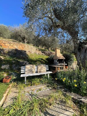 Property grounds - A few minutes from Pisa and Lucca, beautiful villa in the Tuscan countryside. (Toscana)