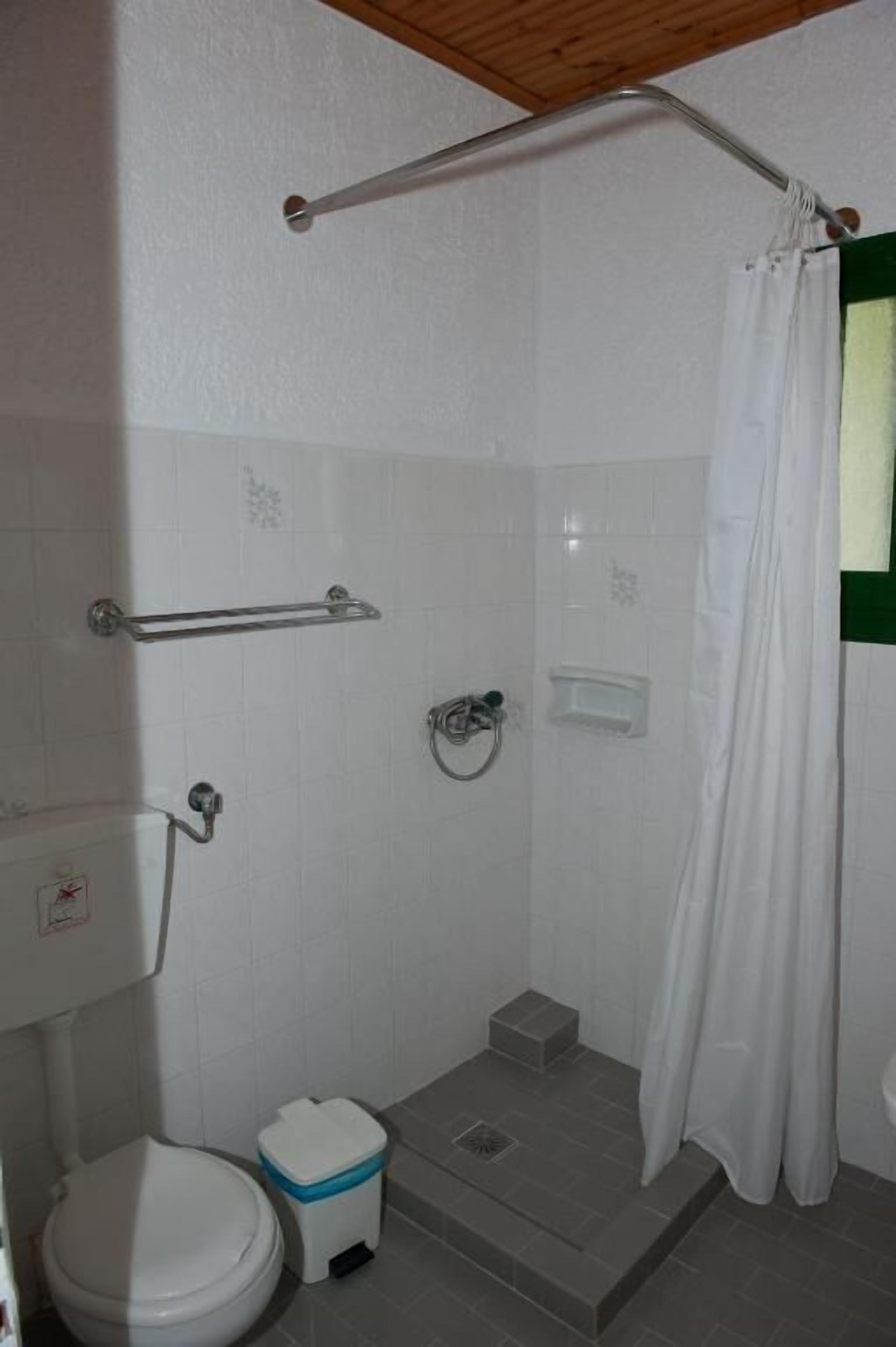 A small, enclosed shower area with a grab bar, a toilet, and a trash bin.