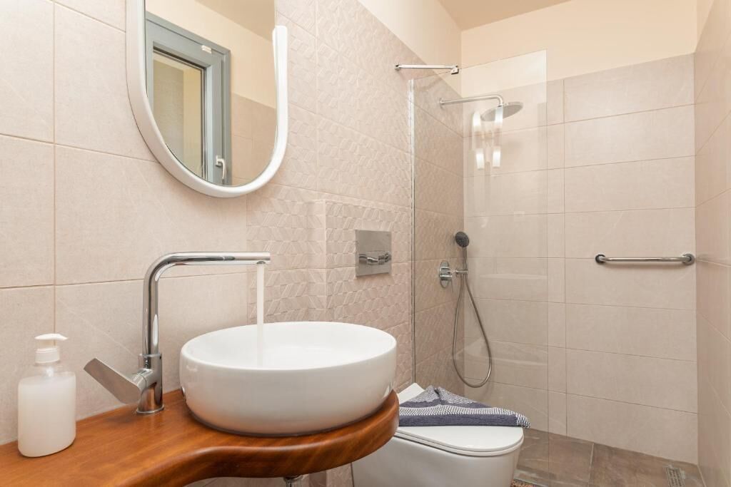A bathroom with a round sink, a mirror, a handheld showerhead, and a toilet.