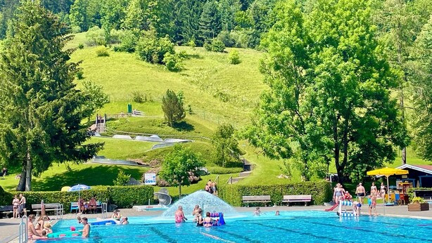 Ein Swimmingpool mit klarem, blauem Wasser, umgeben von üppigen grünen Bäumen und einer hügeligen Landschaft im Hintergrund.