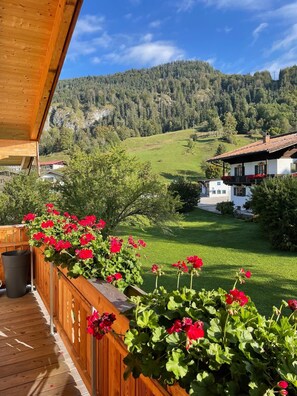 Property grounds - Vacation apartment Dosbach (Reit im Winkl)