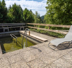 Property grounds - Apartment 3 with Balcony, Barbecue Area and Wi-Fi (Oberharmersbach)