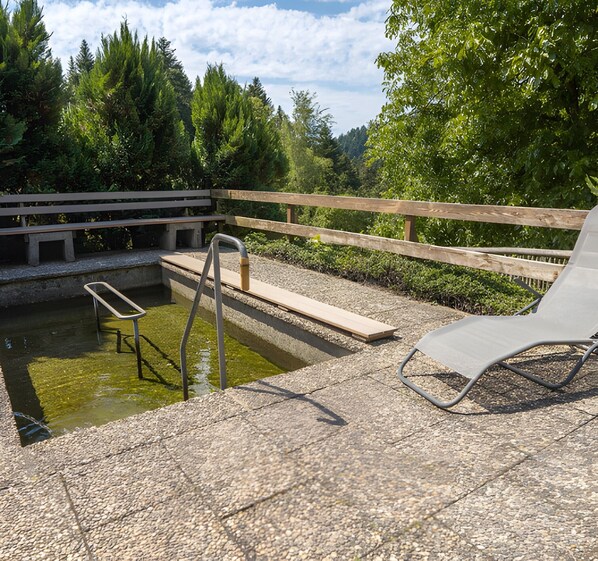 Property grounds - Studio 7 with Mountain View, Barbecue Area and Wi-Fi (Oberharmersbach)