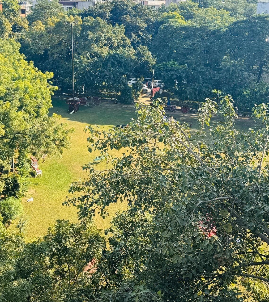 Ein Park mit einer Rasenfläche, Bäumen und einem Gewässer.