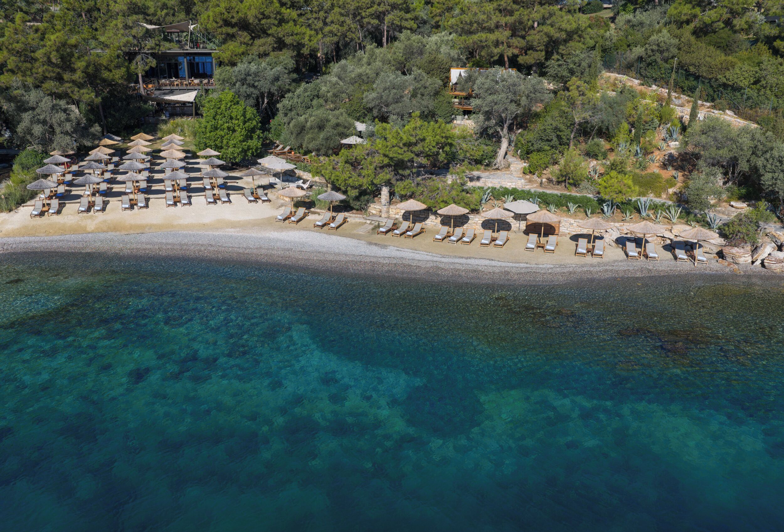 Private beach, free beach shuttle, beach bar