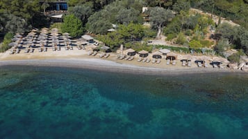 Private beach, free beach shuttle, beach bar