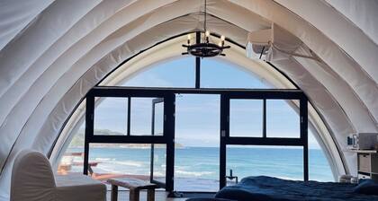 Shell TentOpen until the end of March Dinner an / Nagatoshi Yamaguchi