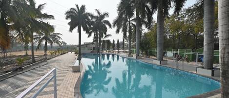 Una piscina rectangular con un borde empedrado, palmeras y cielo despejado.