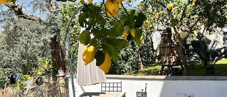 屋外ダイニングエリア