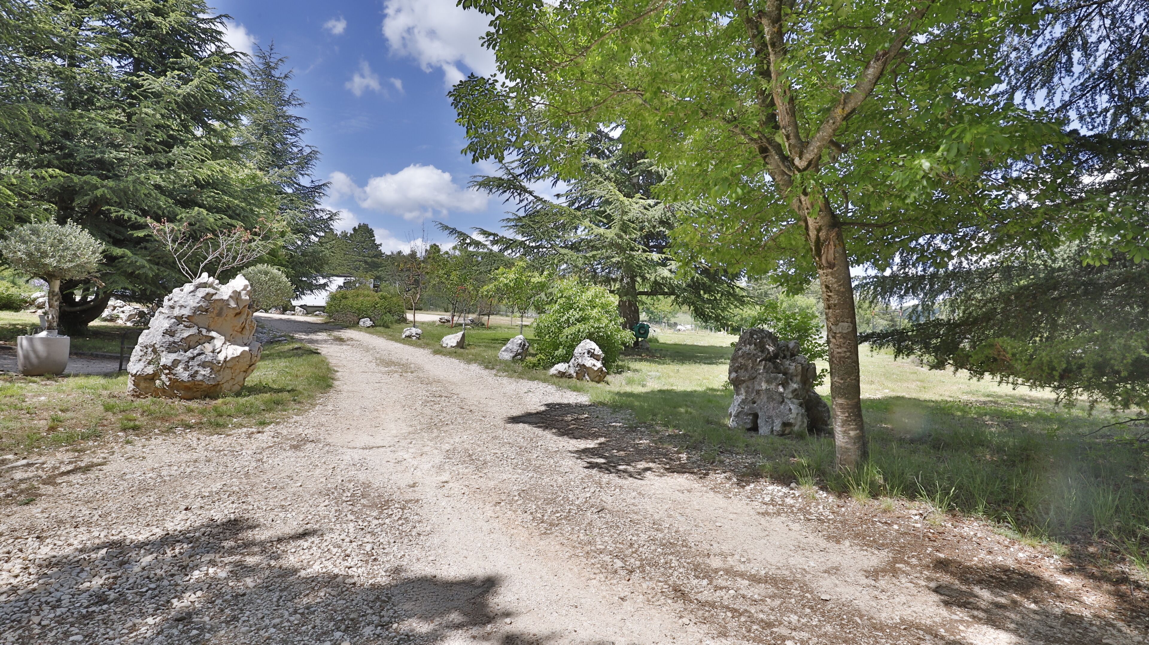 A gravel path leading through a park with large rocks and trees.