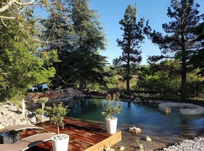 Property grounds - Paradise in Provence (Sault)