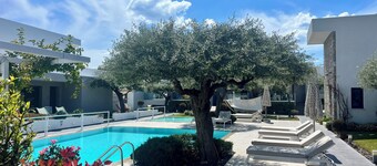 OLIVIA RESORT